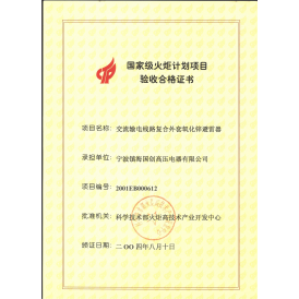 国家火炬计划